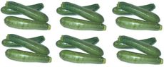 Zucchini-6x3.jpg